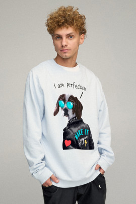 Світшот чоловічий OVERSIZE /no flis/