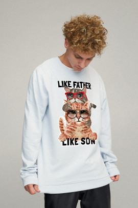 Світшот чоловічий OVERSIZE /no flis/