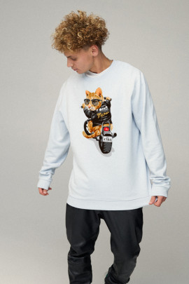 Світшот чоловічий OVERSIZE /no flis/