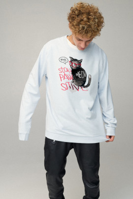 Світшот чоловічий OVERSIZE /no flis/