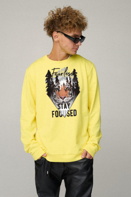 Світшот чоловічий OVERSIZE /no flis/