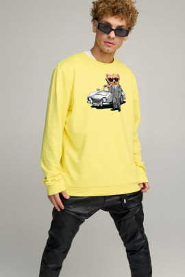 Світшот чоловічий OVERSIZE /no flis/