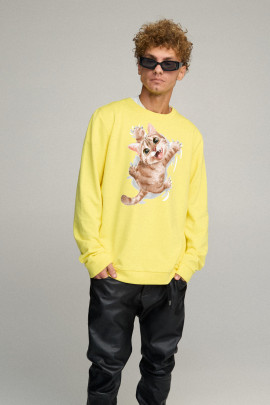 Світшот чоловічий OVERSIZE /no flis/