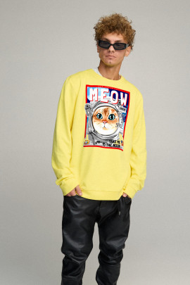 Світшот чоловічий OVERSIZE /no flis/