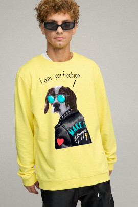 Світшот чоловічий OVERSIZE /no flis/