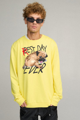 Світшот чоловічий OVERSIZE /no flis/