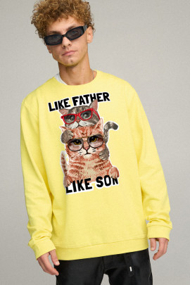 Світшот чоловічий OVERSIZE /no flis/