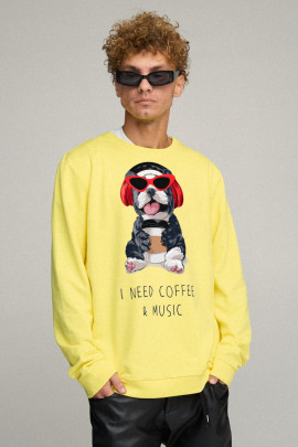 Світшот чоловічий OVERSIZE /no flis/