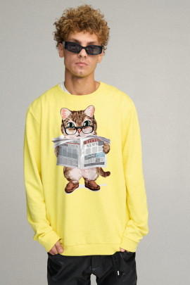 Світшот чоловічий OVERSIZE /no flis/