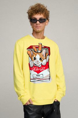 Світшот чоловічий OVERSIZE /no flis/