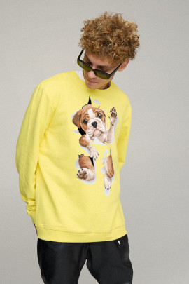 Світшот чоловічий OVERSIZE /no flis/