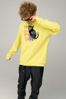 Світшот чоловічий OVERSIZE /no flis/