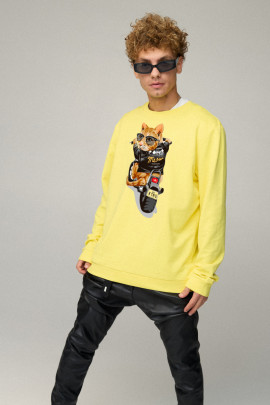 Світшот чоловічий OVERSIZE /no flis/