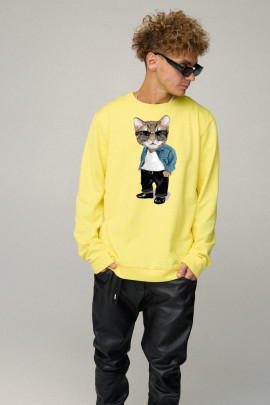 Світшот чоловічий OVERSIZE /no flis/