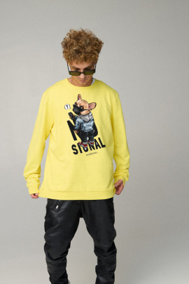 Світшот чоловічий OVERSIZE /no flis/