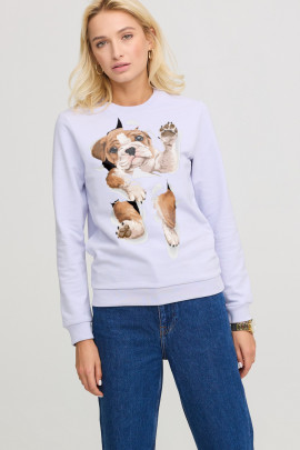 Світшот жіночий basic  /no flis/ 