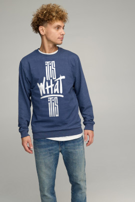 Світшот чоловічий BASIC /no flis/