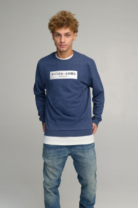 Світшот чоловічий BASIC /no flis/