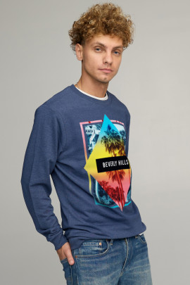 Світшот чоловічий BASIC /no flis/