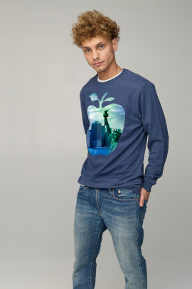 Світшот чоловічий BASIC /no flis/