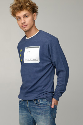 Світшот чоловічий BASIC /no flis/