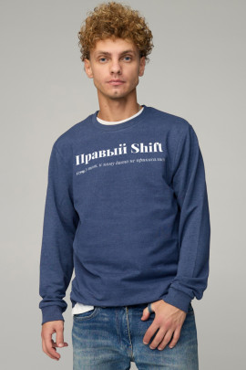 Світшот чоловічий BASIC /no flis/