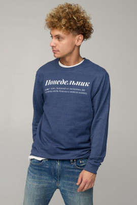 Світшот чоловічий BASIC /no flis/