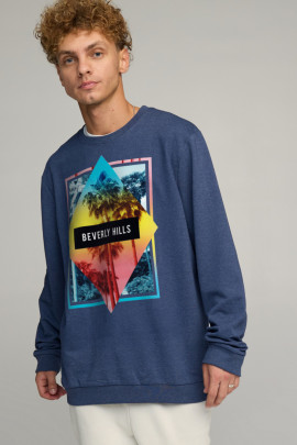 Світшот чоловічий OVERSIZE /no flis/