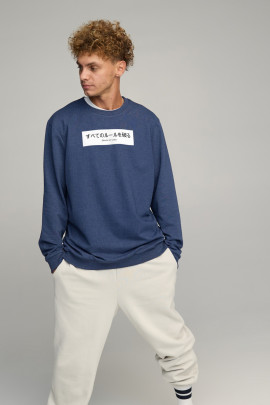 Світшот чоловічий OVERSIZE /no flis/