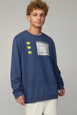 Світшот чоловічий OVERSIZE /no flis/