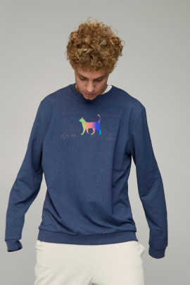 Світшот чоловічий OVERSIZE /no flis/