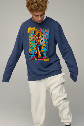 Світшот чоловічий OVERSIZE /no flis/