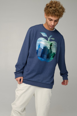 Світшот чоловічий OVERSIZE /no flis/