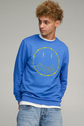 Світшот чоловічий BASIC /no flis/