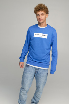 Світшот чоловічий BASIC /no flis/