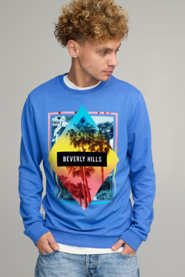 Світшот чоловічий BASIC /no flis/