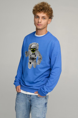 Світшот чоловічий BASIC /no flis/