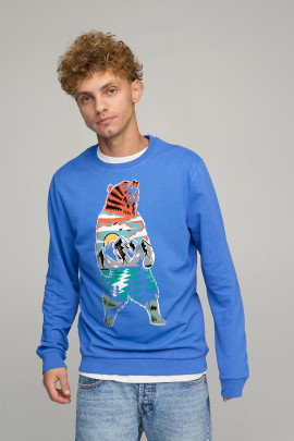 Світшот чоловічий BASIC /no flis/