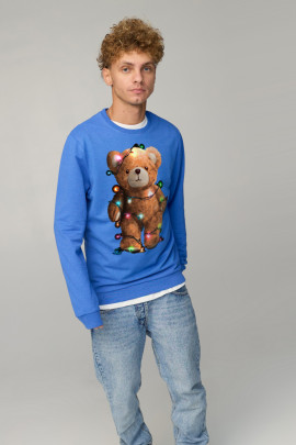 Світшот чоловічий BASIC /no flis/