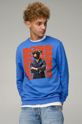 Світшот чоловічий BASIC /no flis/