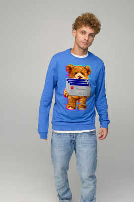 Світшот чоловічий BASIC /no flis/