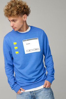 Світшот чоловічий BASIC /no flis/