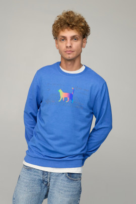 Світшот чоловічий BASIC /no flis/