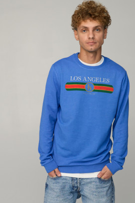 Світшот чоловічий BASIC /no flis/