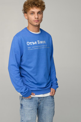 Світшот чоловічий BASIC /no flis/