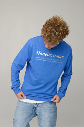 Світшот чоловічий BASIC /no flis/