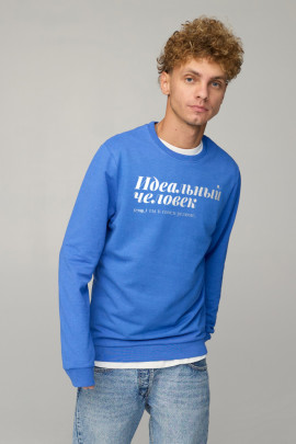 Світшот чоловічий BASIC /no flis/