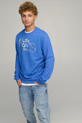 Світшот чоловічий BASIC /no flis/