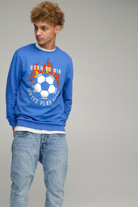 Світшот чоловічий BASIC /no flis/