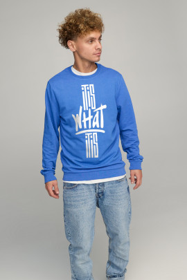 Світшот чоловічий BASIC /no flis/